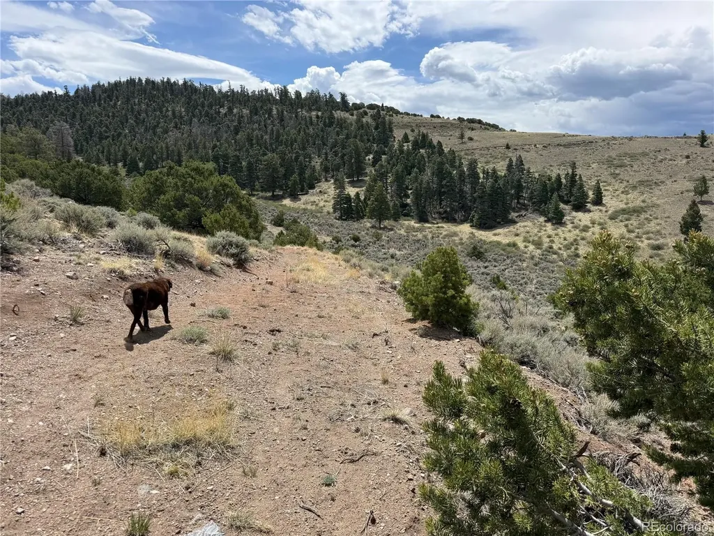 Lot 5428 Balleroy Road Fort Garland CO 81133