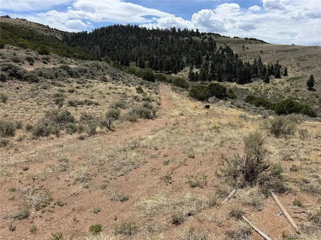 Lot 5428 Balleroy Road Fort Garland CO 81133