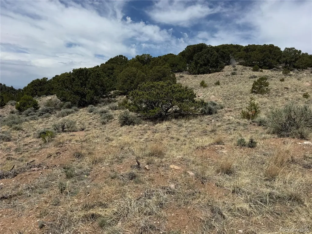 Lot 5428 Balleroy Road Fort Garland CO 81133