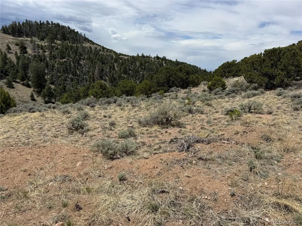 Lot 5428 Balleroy Road Fort Garland CO 81133