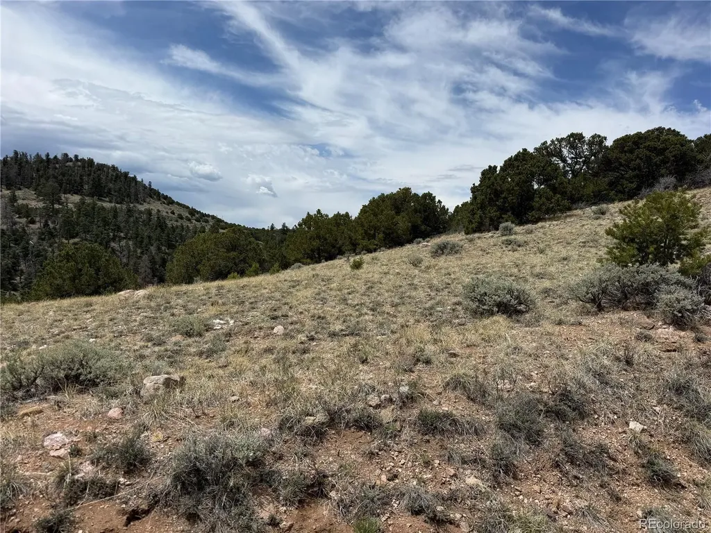 Lot 5428 Balleroy Road Fort Garland CO 81133