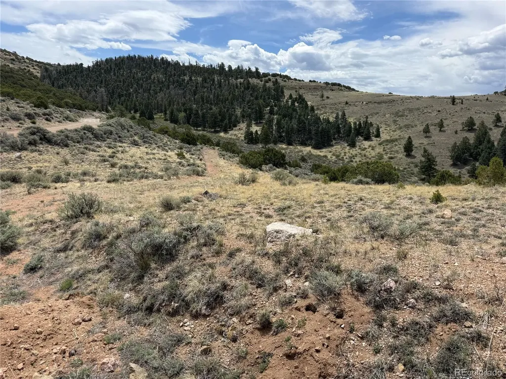 Lot 5428 Balleroy Road Fort Garland CO 81133