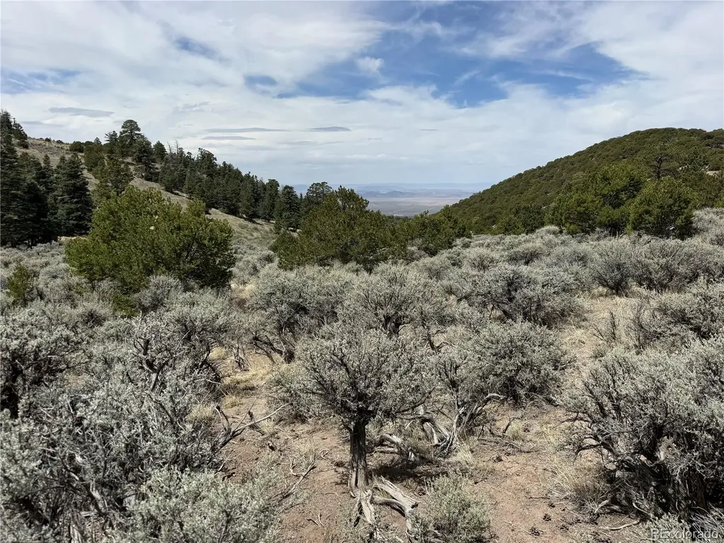 Lot 5428 Balleroy Road Fort Garland CO 81133