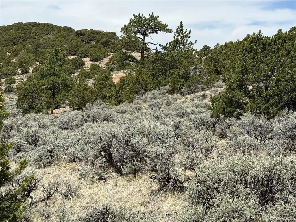 Lot 5428 Balleroy Road Fort Garland CO 81133