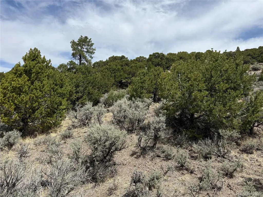 Lot 5428 Balleroy Road Fort Garland CO 81133