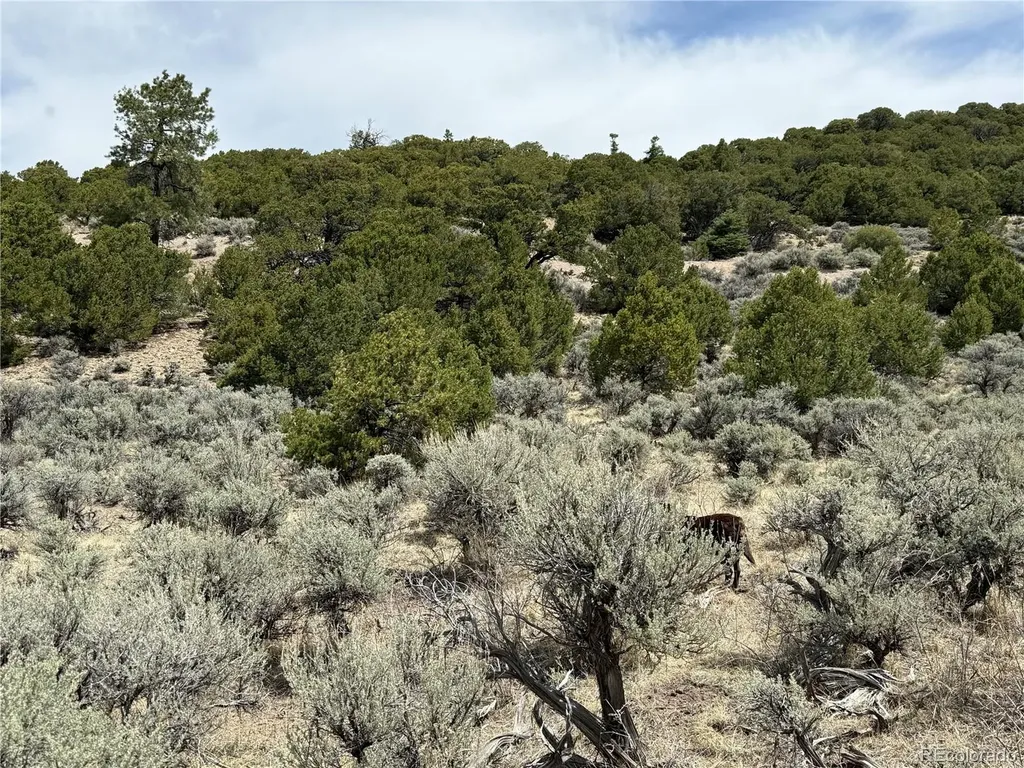 Lot 5428 Balleroy Road Fort Garland CO 81133