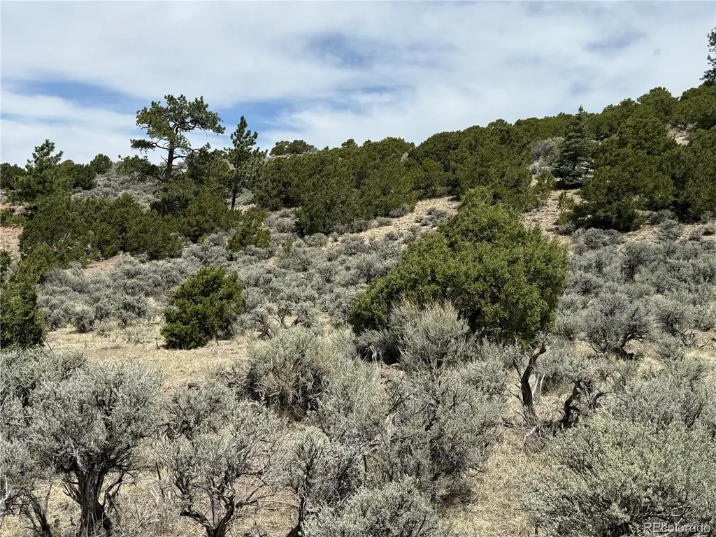 Lot 5428 Balleroy Road Fort Garland CO 81133