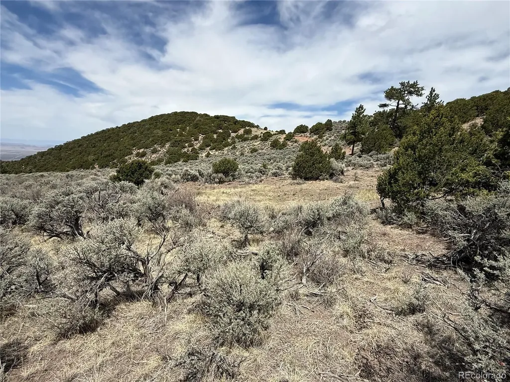 Lot 5428 Balleroy Road Fort Garland CO 81133