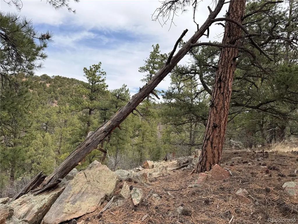 672 Coyote Run Trail Canon City CO 81223