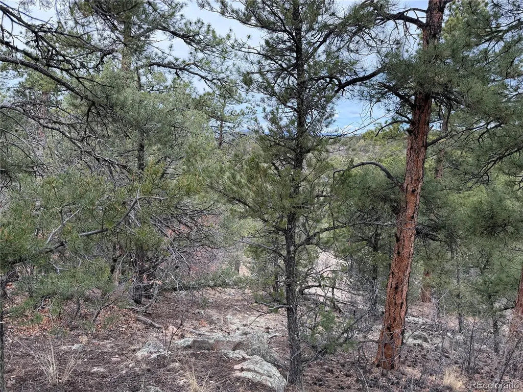 672 Coyote Run Trail Canon City CO 81223