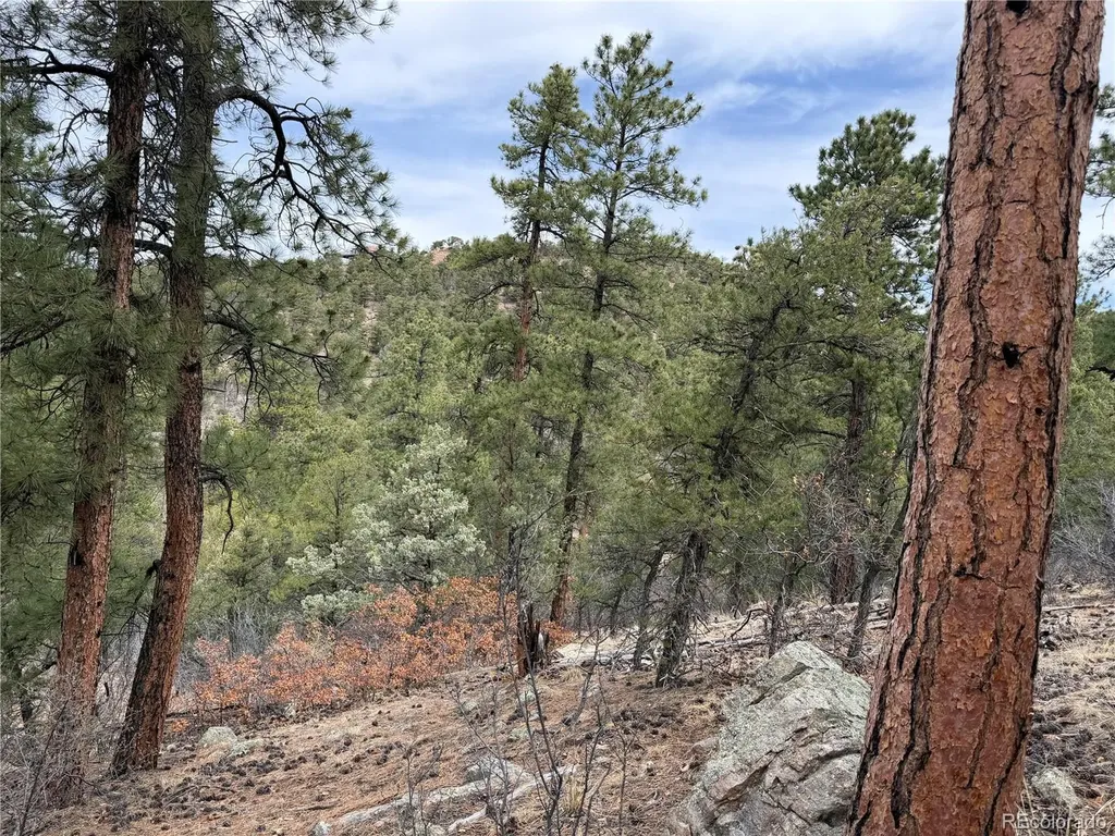 672 Coyote Run Trail Canon City CO 81223