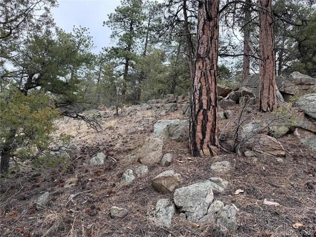 672 Coyote Run Trail Canon City CO 81223