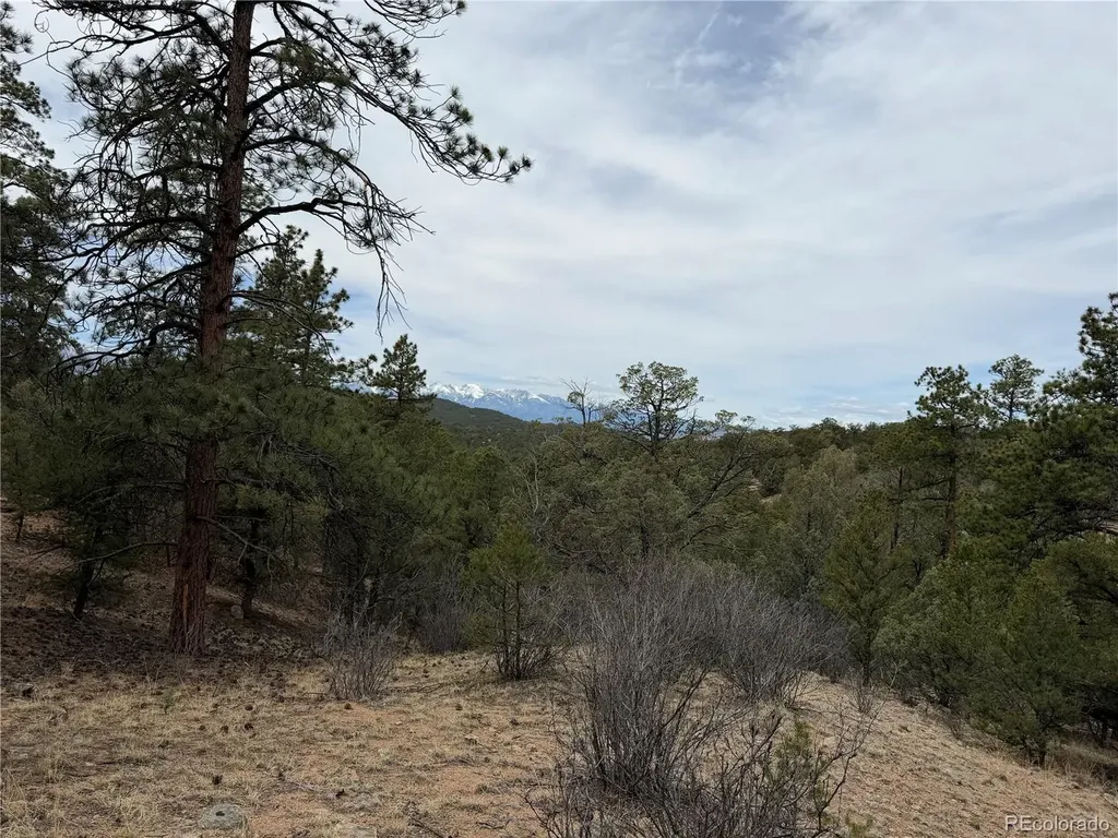 672 Coyote Run Trail Canon City CO 81223
