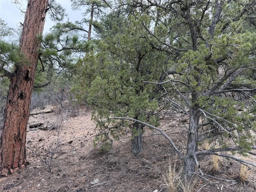 672 Coyote Run Trail Canon City CO 81223