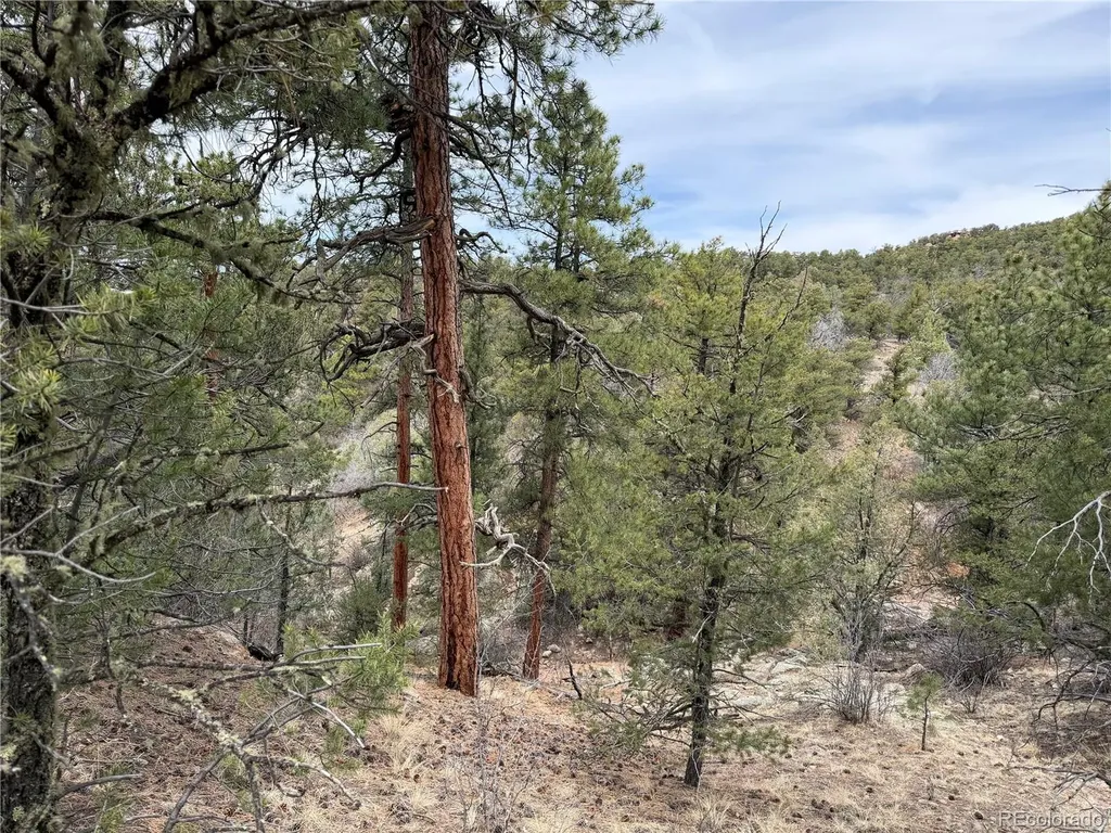 672 Coyote Run Trail Canon City CO 81223