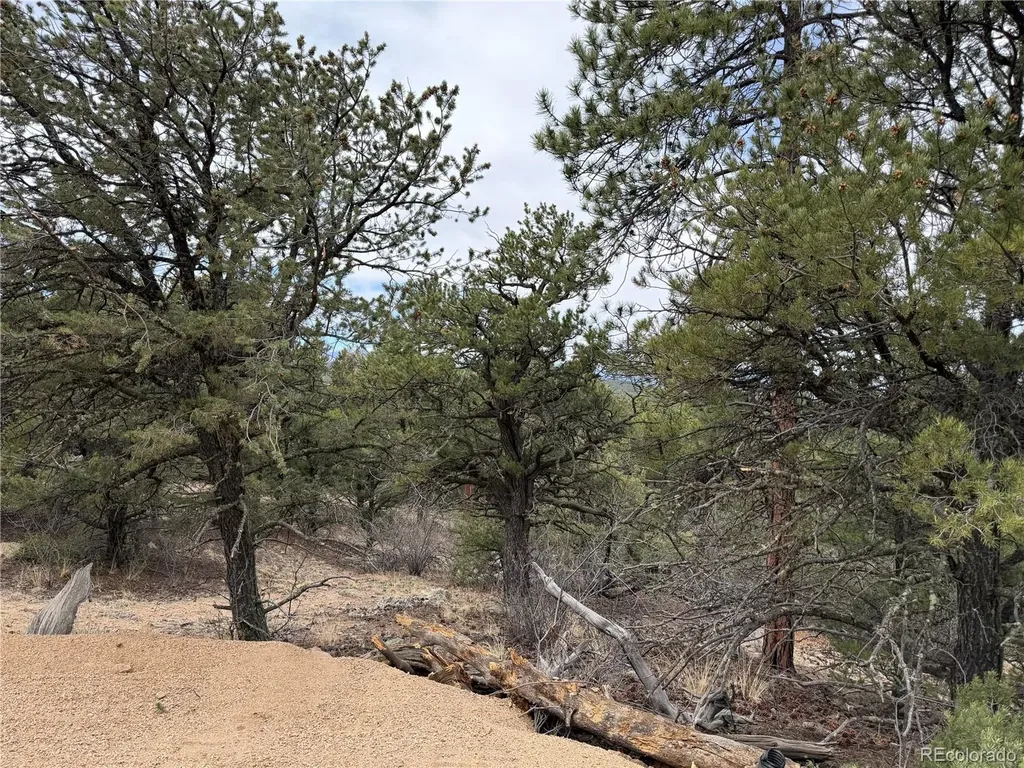 672 Coyote Run Trail Canon City CO 81223