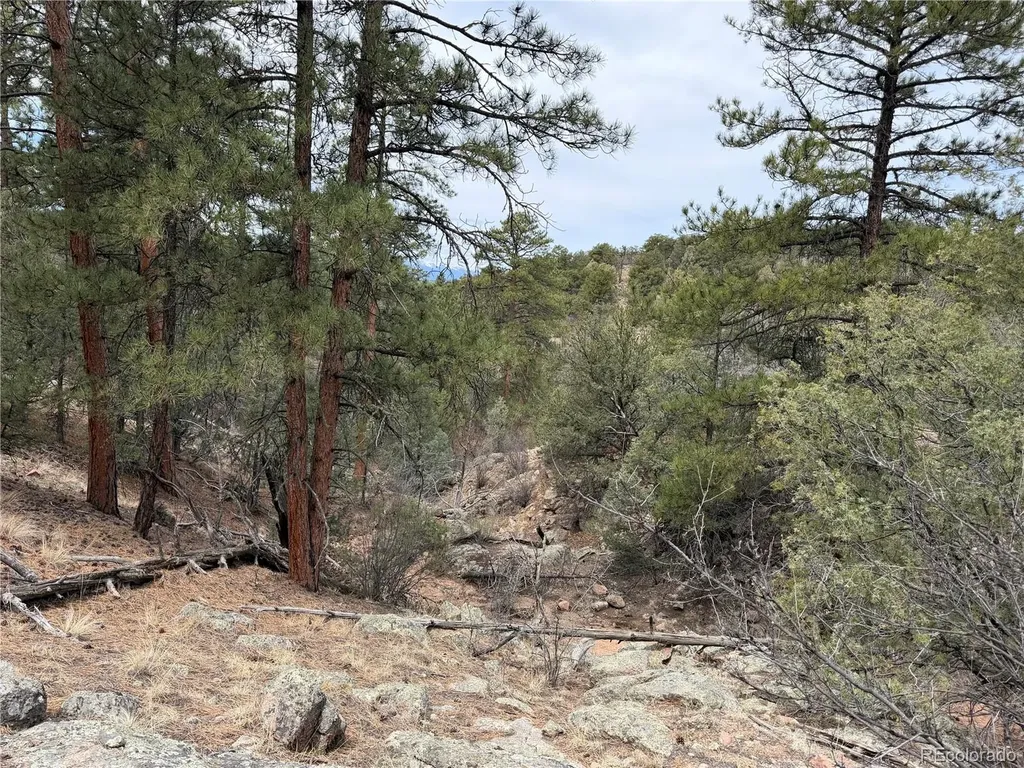 672 Coyote Run Trail Canon City CO 81223