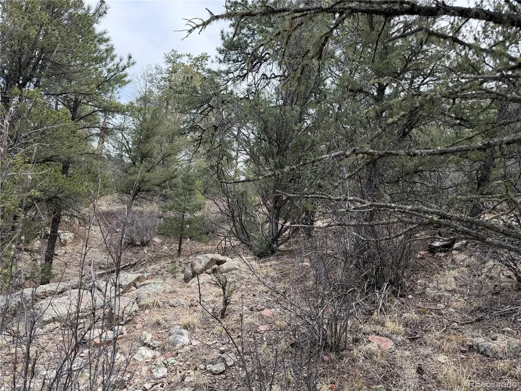672 Coyote Run Trail Canon City CO 81223