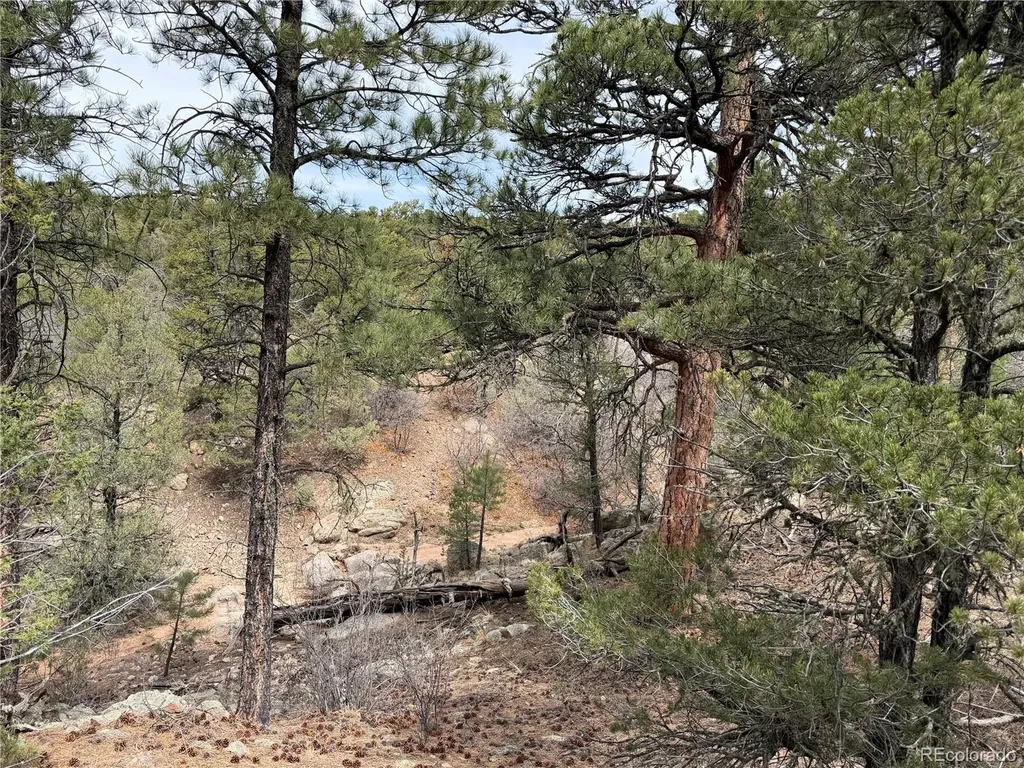 672 Coyote Run Trail Canon City CO 81223