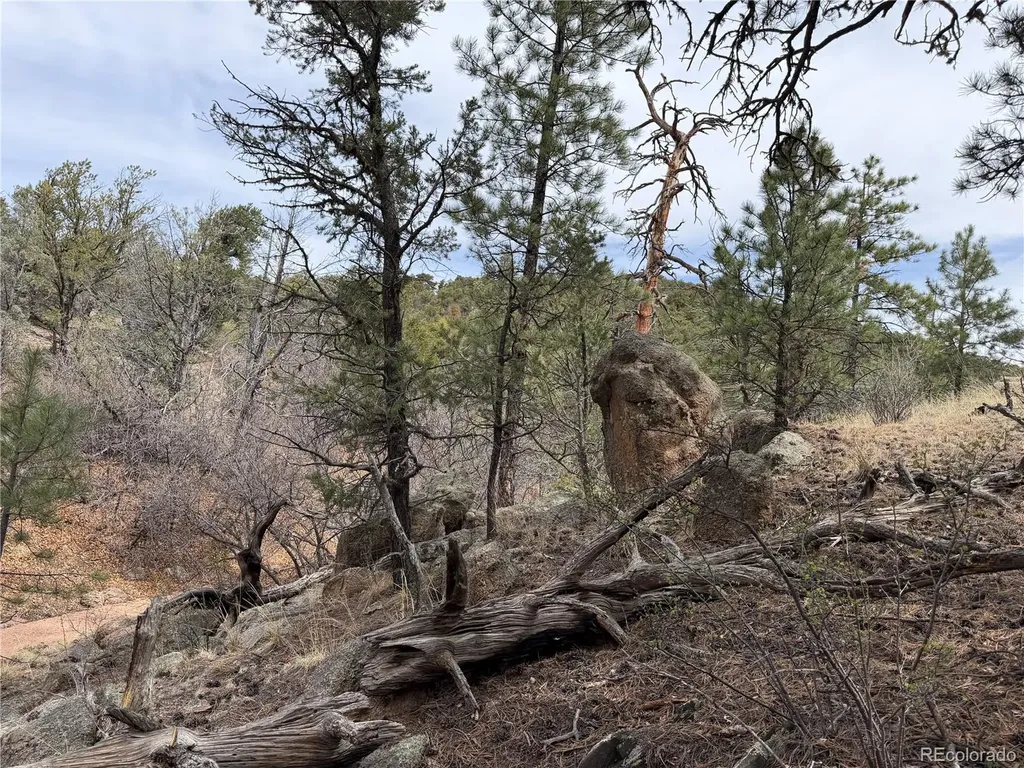 672 Coyote Run Trail Canon City CO 81223