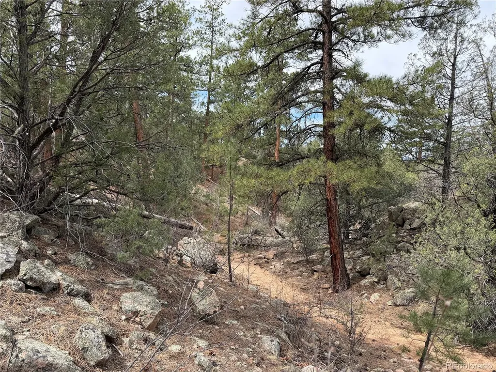 672 Coyote Run Trail Canon City CO 81223