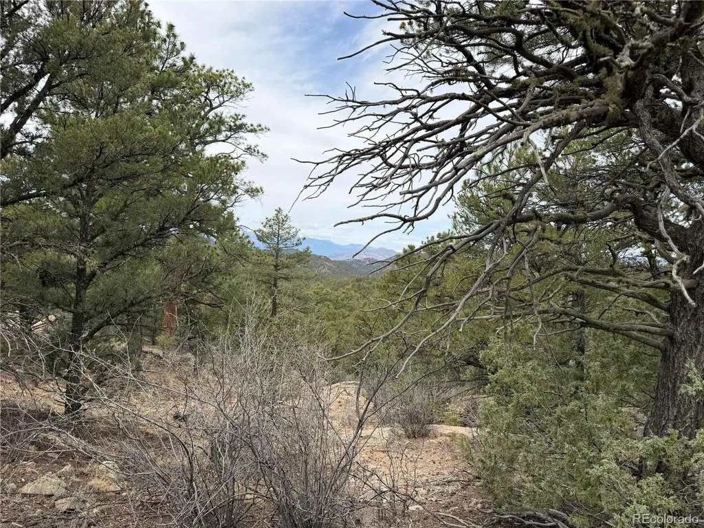 672 Coyote Run Trail Canon City CO 81223