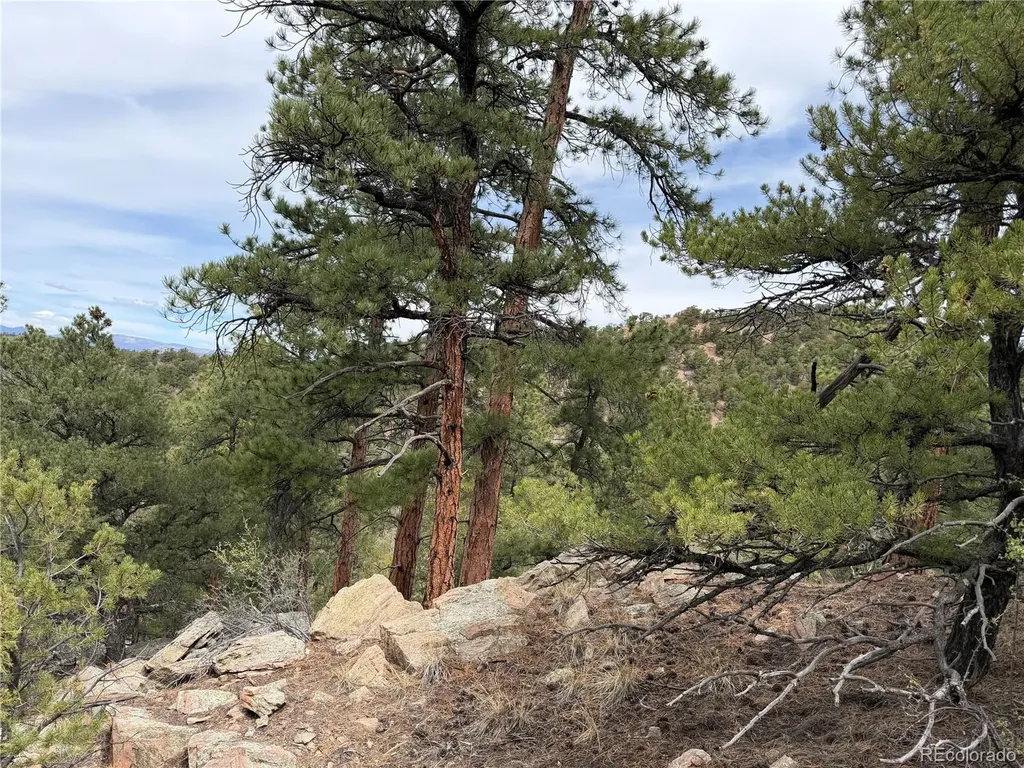 672 Coyote Run Trail Canon City CO 81223