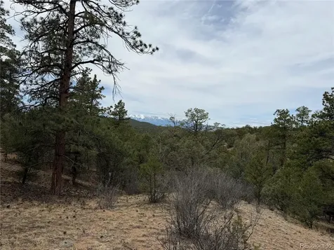 672 Coyote Run Trail Canon City CO 81223