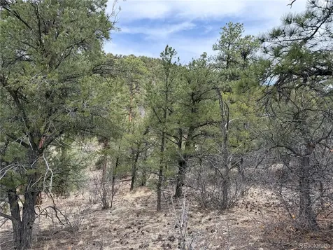 672 Coyote Run Trail Canon City CO 81223