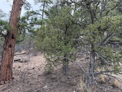672 Coyote Run Trail Canon City CO 81223
