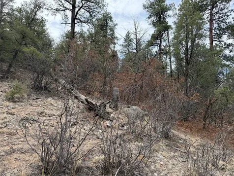 672 Coyote Run Trail Canon City CO 81223