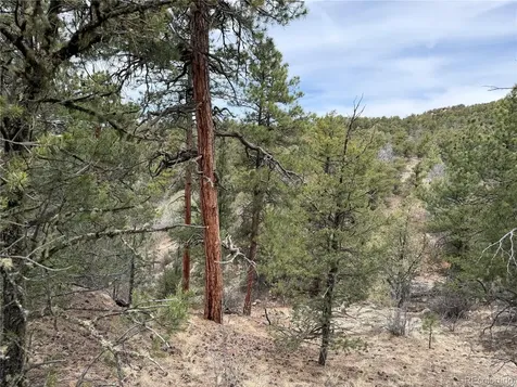 672 Coyote Run Trail Canon City CO 81223