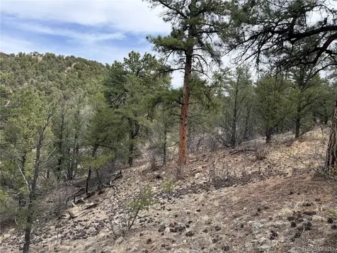 672 Coyote Run Trail Canon City CO 81223