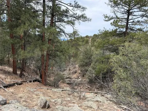 672 Coyote Run Trail Canon City CO 81223