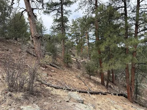 672 Coyote Run Trail Canon City CO 81223