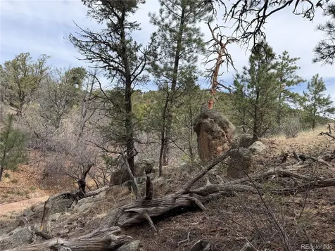 672 Coyote Run Trail Canon City CO 81223