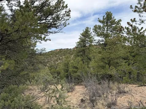 672 Coyote Run Trail Canon City CO 81223