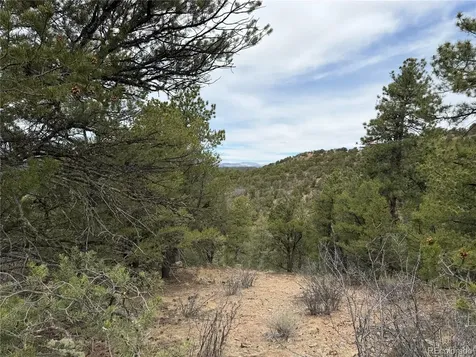 672 Coyote Run Trail Canon City CO 81223