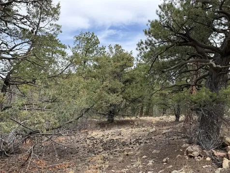 672 Coyote Run Trail Canon City CO 81223