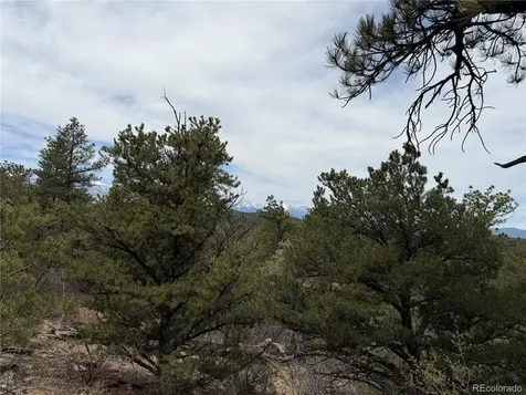 672 Coyote Run Trail Canon City CO 81223