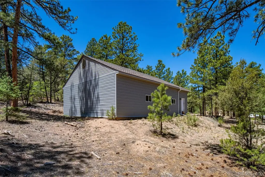 632 Nels Drive Cotopaxi CO 81223