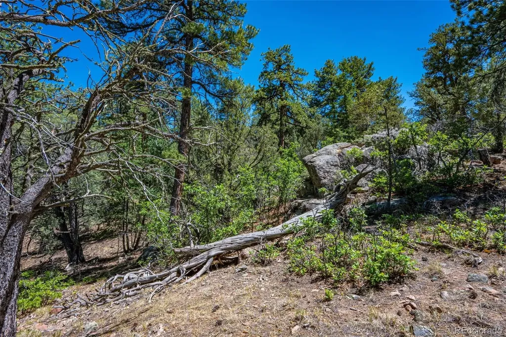 632 Nels Drive Cotopaxi CO 81223