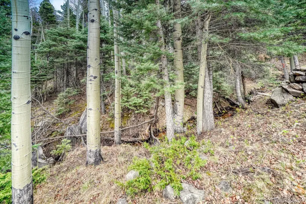 72 Gibson Road Westcliffe CO 81252