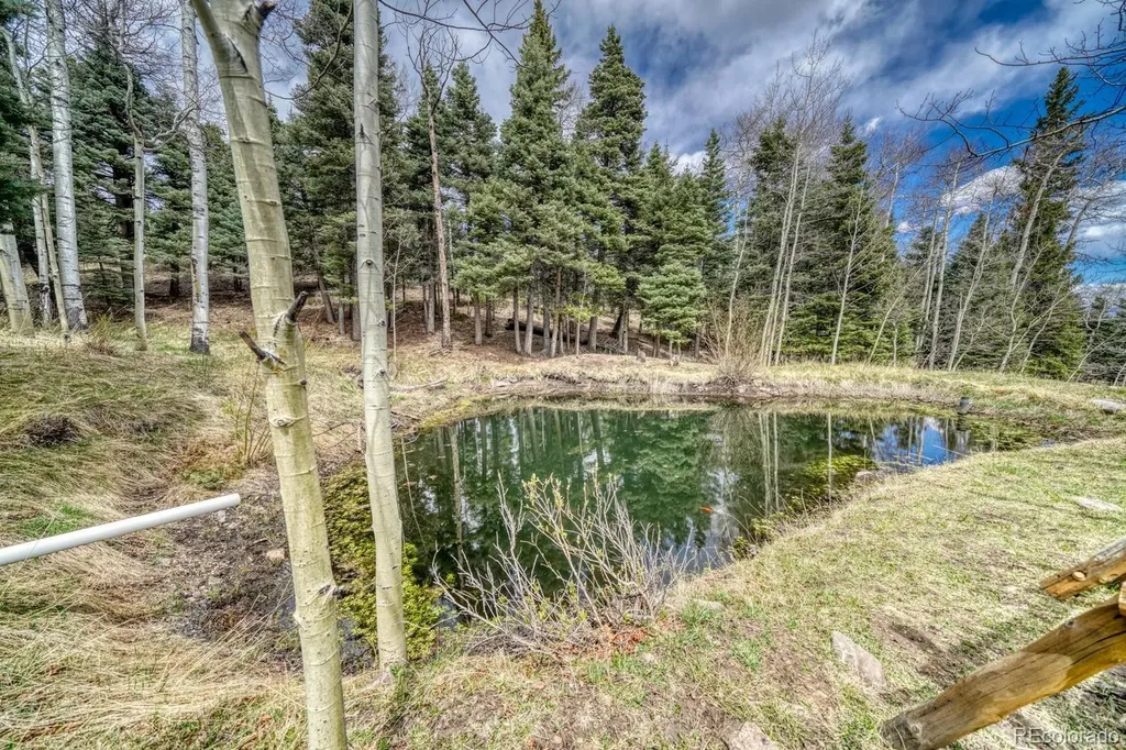 72 Gibson Road Westcliffe CO 81252