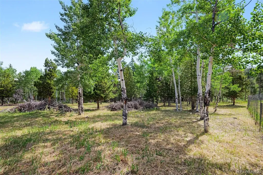 27887 Richmond Hill Road Conifer CO 80433