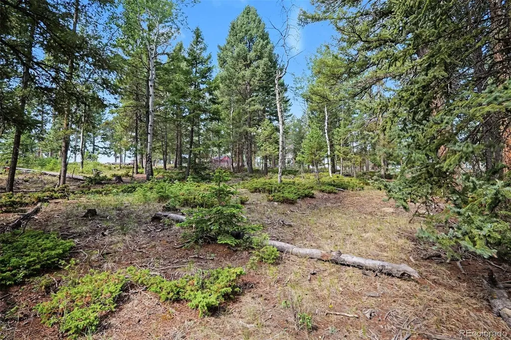 27887 Richmond Hill Road Conifer CO 80433