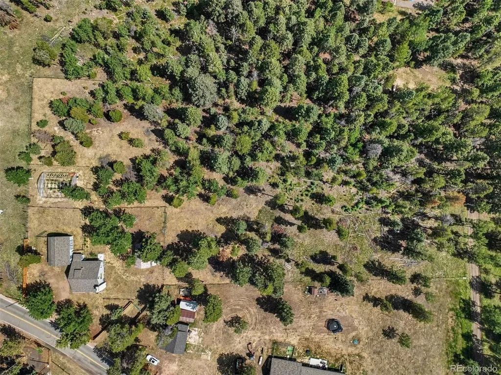27887 Richmond Hill Road Conifer CO 80433