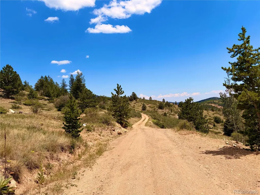 1 Bonanza Ridge Central City CO 80427