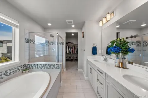 3807 Red Valley Lane Castle Rock CO 80104