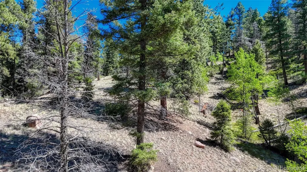 3454 N Mountain Estates Road Florissant CO 80816